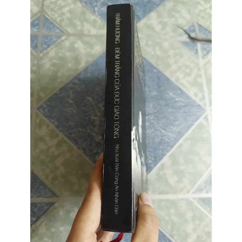 Đêm trắng của Đức Giáo Tông - Trầm Hương 561382