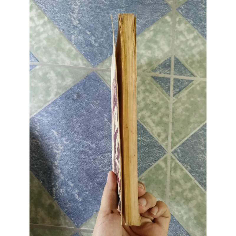 The Sorrow of War a novel - Bao Ninh 708919