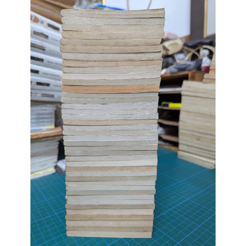 TRUYỆN TRANH INUYASHA 2001 276551