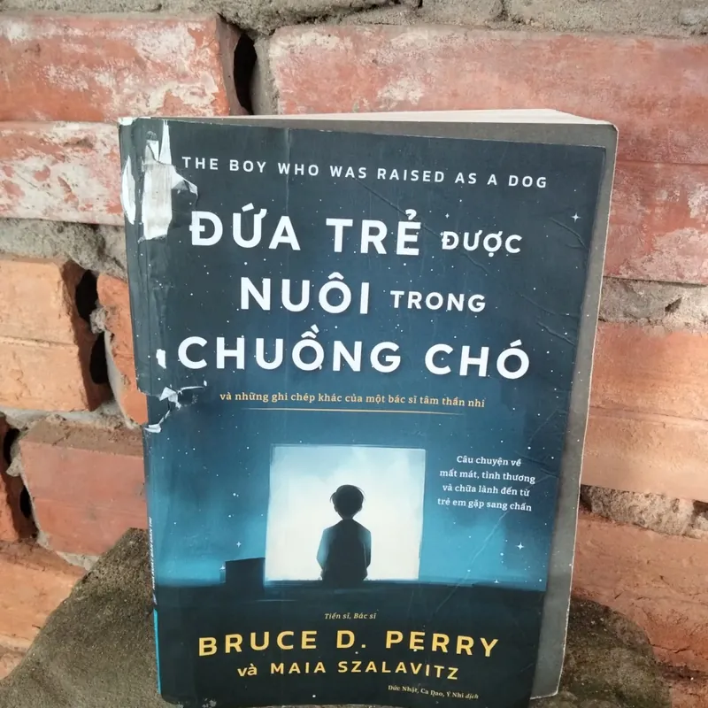 Đứa Trẻ Được Nuôi Trong Chuồng Chó  731026