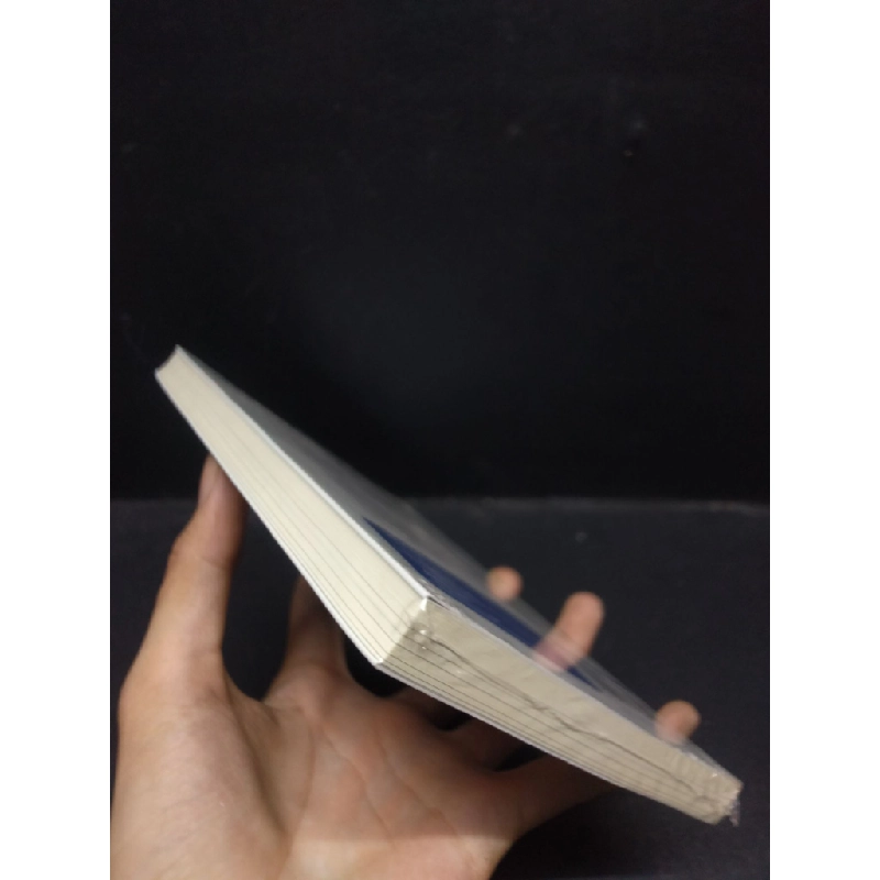 Hơi thở chữa lành thân tâm  Richie Bostock mới 100% HCM.ASB2003 chữa lành 356969
