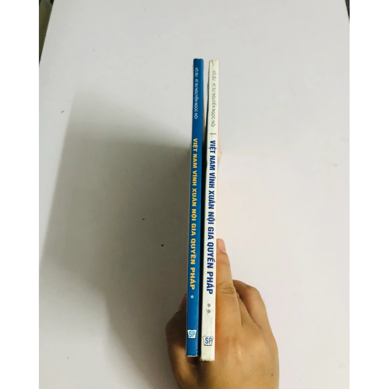 BỘ 2 TẬP VIỆT NAM VĨNH XUÂN NỘI GIA QUYỀN PHÁP 541297