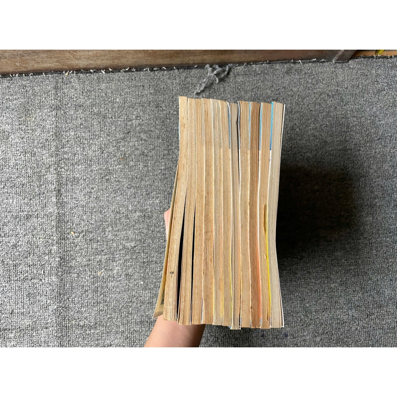 Truyện Đứa Con Của Đảo - Trọn Bộ 11 Tập - NXB Trẻ 273043