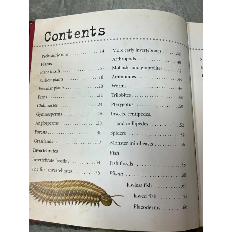 DINOSAURS&PREHISTORIC LIFE 539645