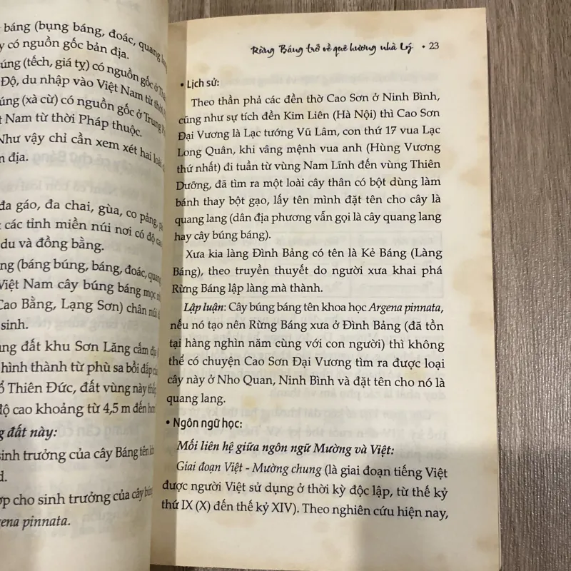 RỪNG BÁNG - TRỞ VỀ QUÊ HƯƠNG NHÀ LÝ (XB 2003) 1025418