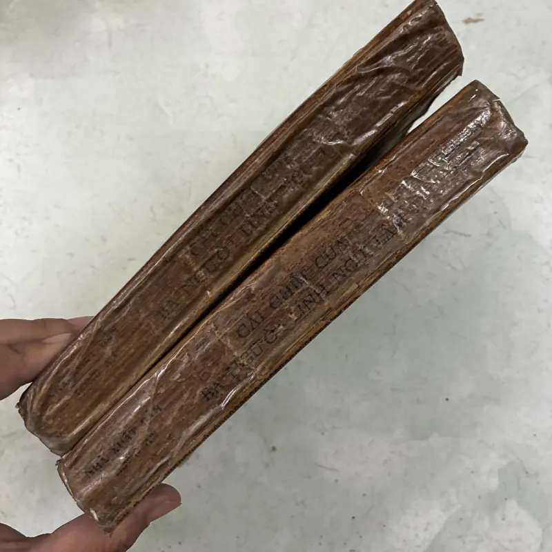 Cái chết của ba người lính ngự lâm (Bộ 2 tập) 1024618