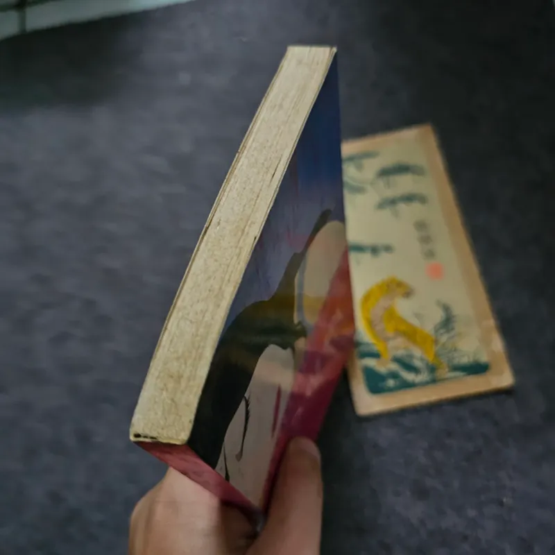 Say ngủ - Yoshimoto Banana 733981