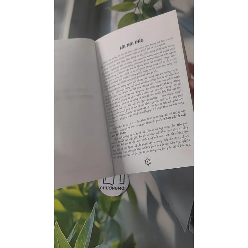 Khám Phá Bí Mật Khuôn Mặt Và Bàn Tay - Từ Liêm 928504