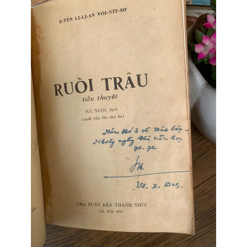 Ruồi trâu  358392