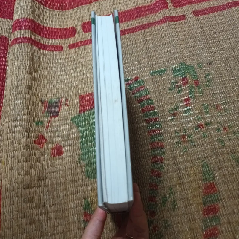 Điện Biên Phủ Đại Tướng Võ Nguyên Giáp  792298