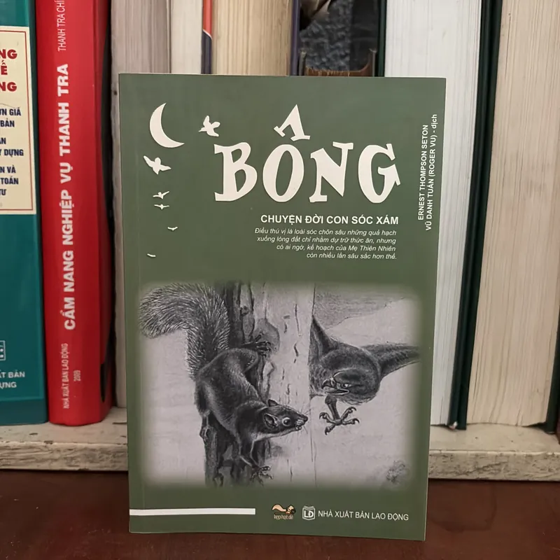 Văn Học Thiếu Nhi: Bông _ Chuyện Đời Con Sóc Xám - Ernest Thompson Seton - ROGER VU (Dịch) 709239