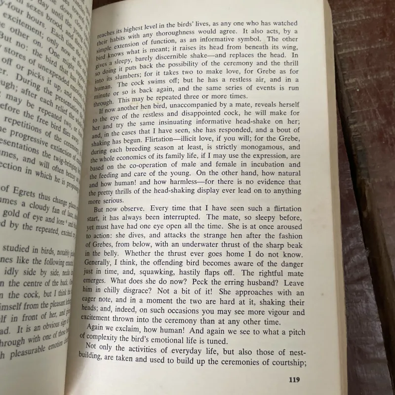 English for today - book six - LITERATURE IN ENGLISH 1008308