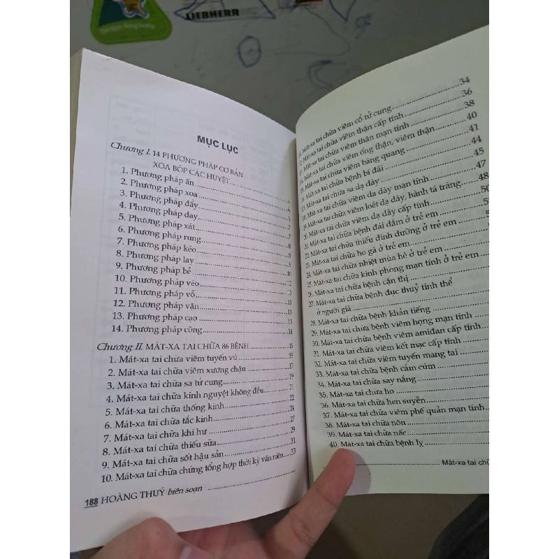 Mát xa tai chữa 86 bệnh - Hoàng Thuý SỨC KHỎE - THỂ THAO HCM0910 923848