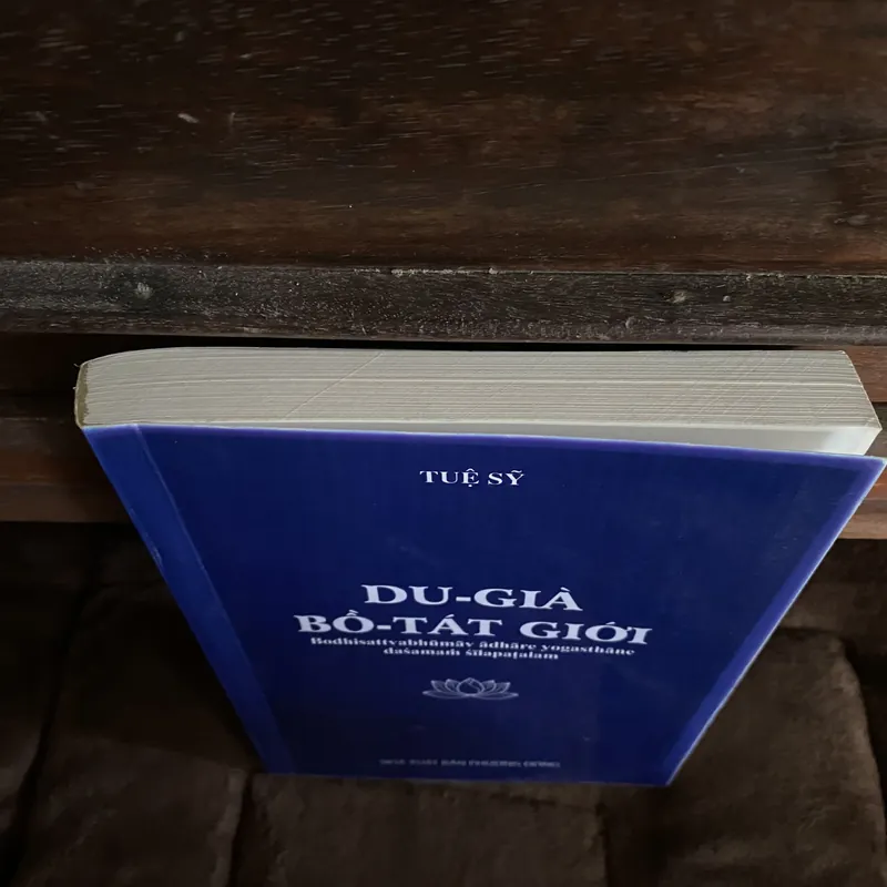 Du già bồ tát giới, Tuệ Sỹ 601328