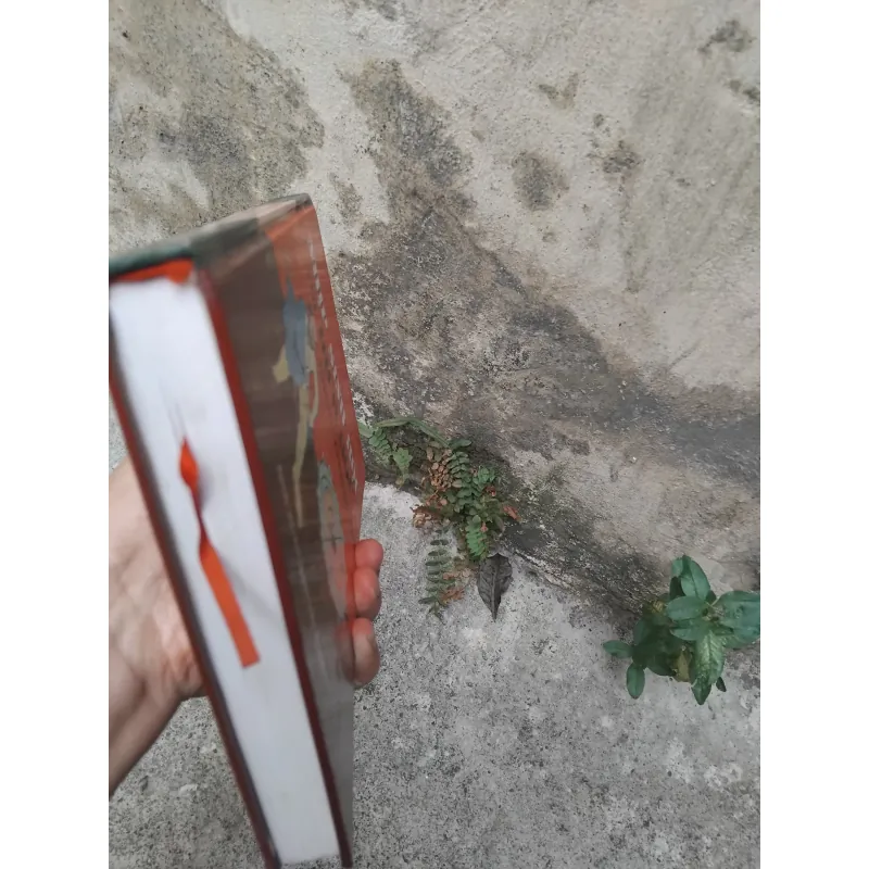 Nhịp sinh học với Dịch học trong văn hóa phương Đông  1022856