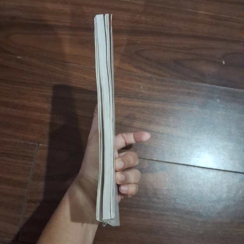 Chuyện nội cung chín đời chúa 511030