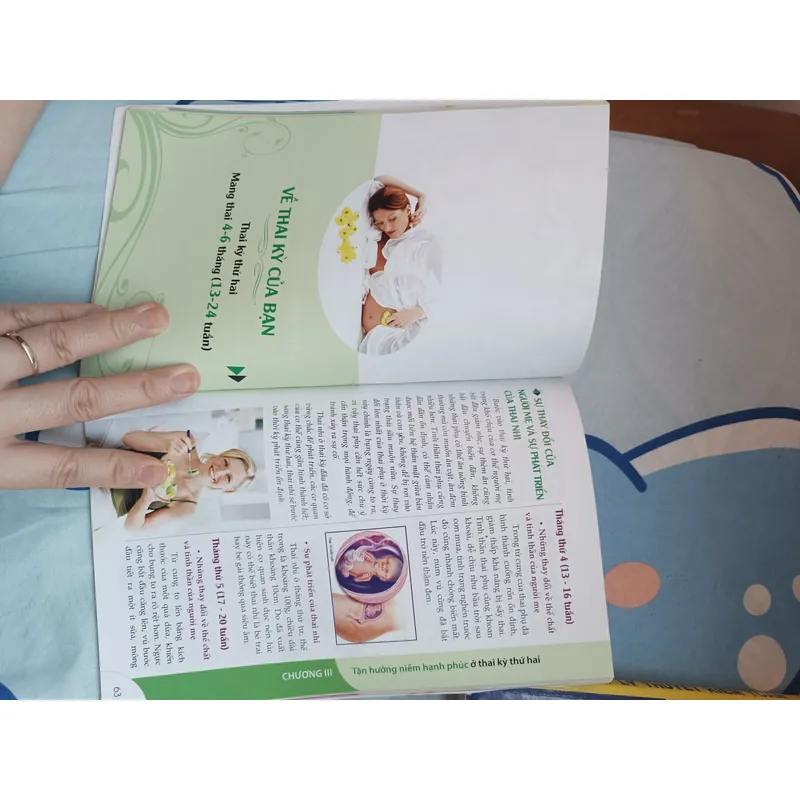 Cẩm nang dinh dưỡng 280 ngày mang thai - NXB Phụ nữ 593771
