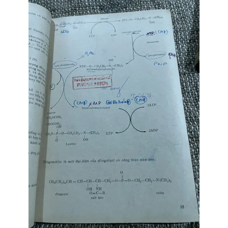 Sinh hóa đại cương, sách khổ lớn, thiếu trang mục lục  1021345