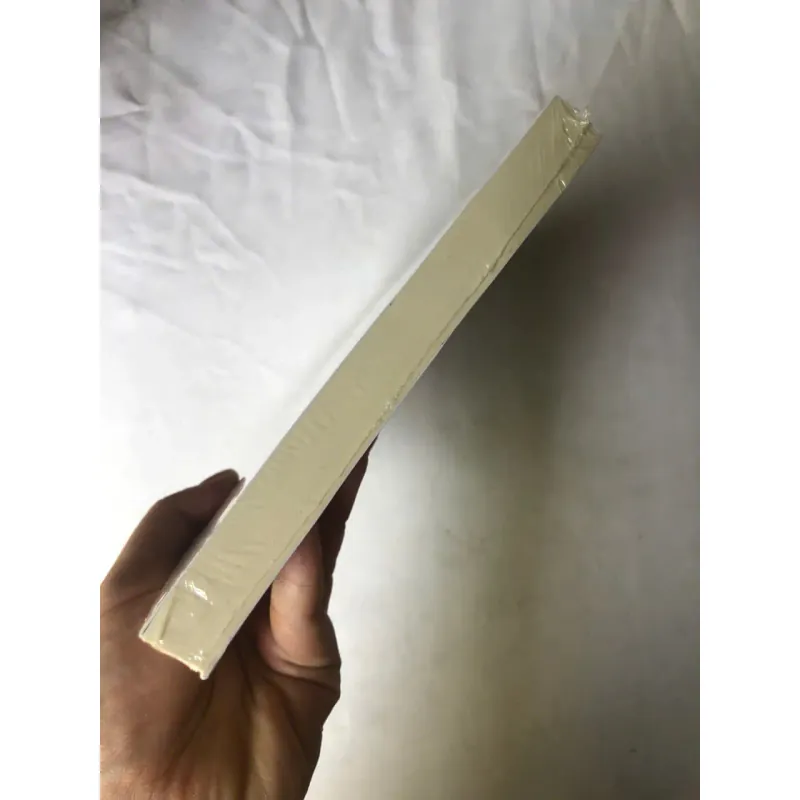 Nghề Giúp Việc - Stephanie Land 1002108