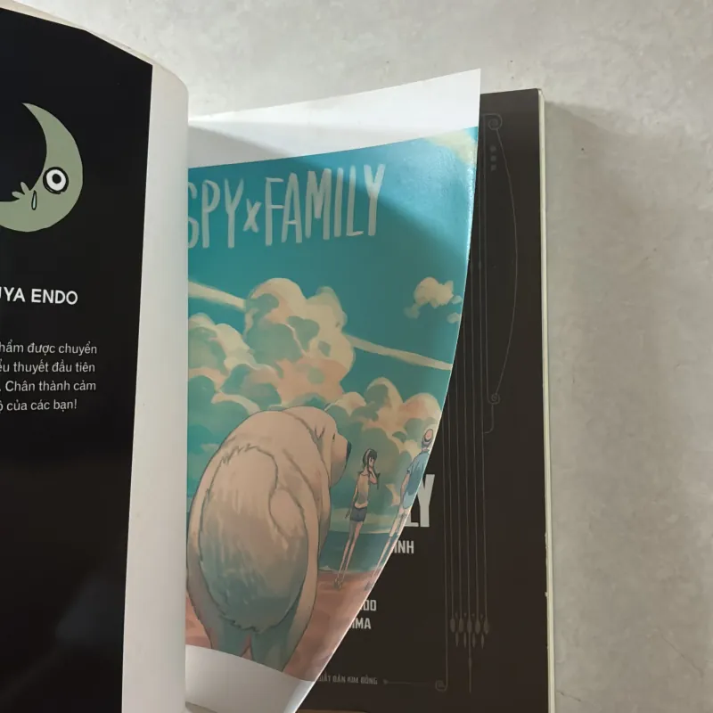 Spy x family tiểu thuyết: Bức chân dung gia đình 751525