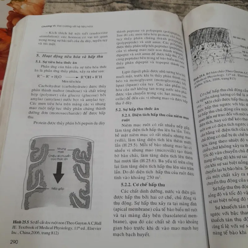 SINH LÝ HỌC Y KHOA- Tập 1-Giáo sư PHẠM ĐÌNH HỰU -ĐH Y Dược HCM  778118