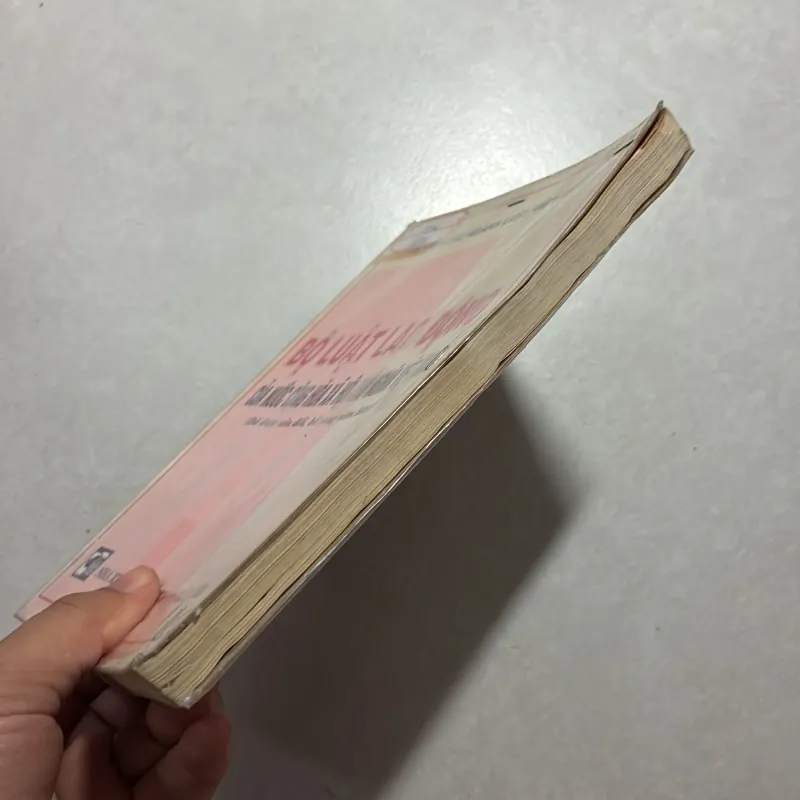 Bộ luật lao động của nước Cộng hòa xã hội chủ nghĩa Việt Nam 759420