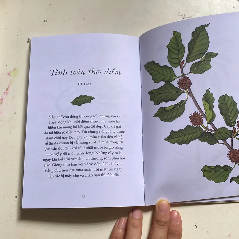 Sống như những cái cây 693156