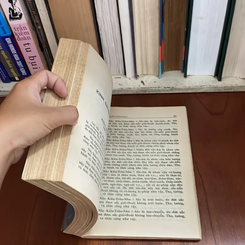 Sách Phật Giáo: Kinh Đại Bát Niết Bàn (Trọn bộ 2 Tập) - Hoà Thượng Thích Trí Tịnh - 1991 578092