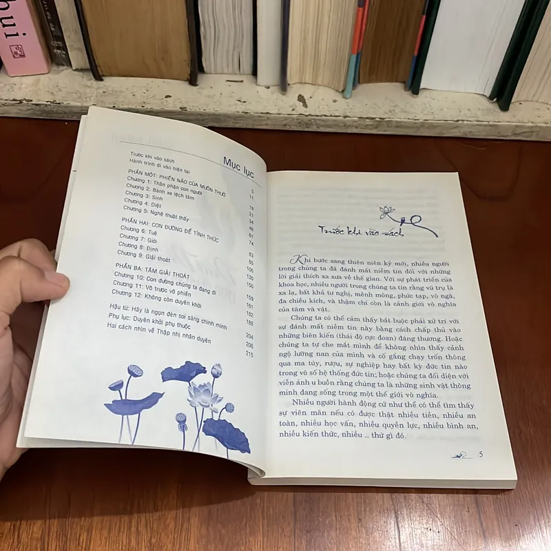 II Sách Phật Giáo: Đạo Phật Giản Dị Và Rõ Ràng - STEVE HAGEN - 2012 573443