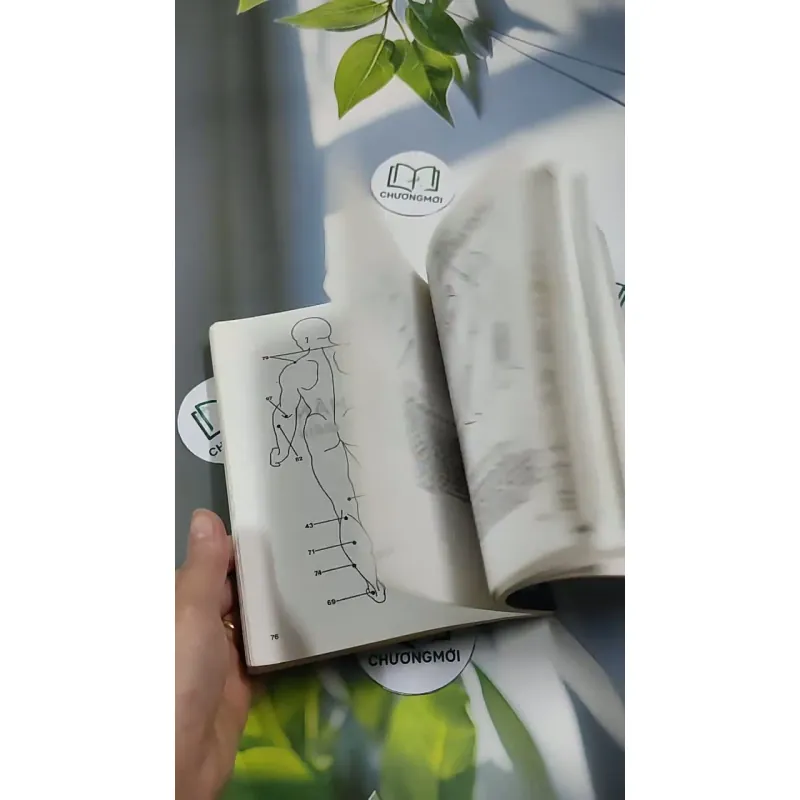 Bấm Huyệt 707258