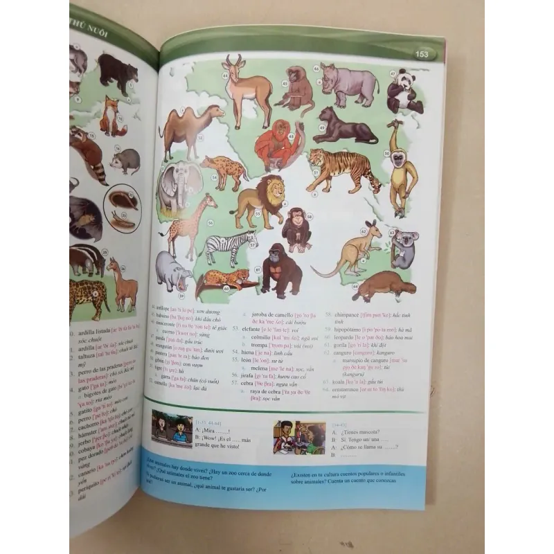 Nâng cao vốn từ vựng tiếng Tây Ban Nha theo chủ đề bằng hình ảnh 696780