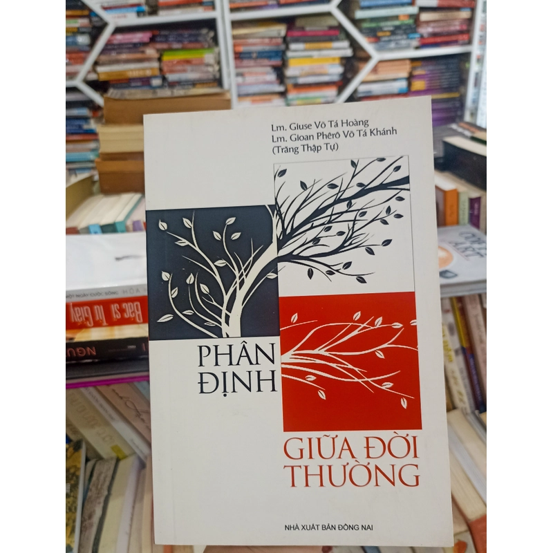 Phân Định Giữa Đời Thường 🌻 521906