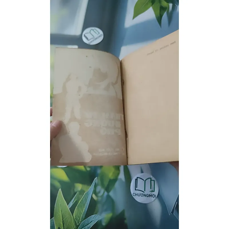 [XƯA] Thám Tử Đường Phố (1981) - Thanh Đạm 997780