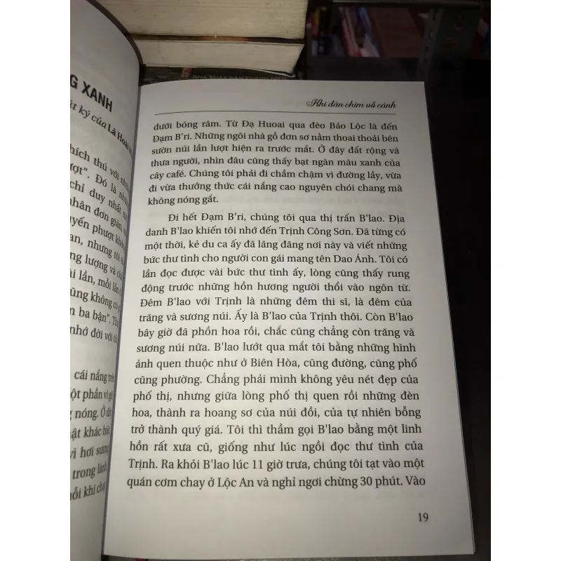 Khi đàn chim vỗ cánh  1011355