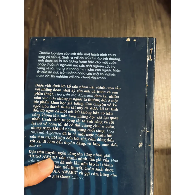 Hoa trên mộ Algernon 604514