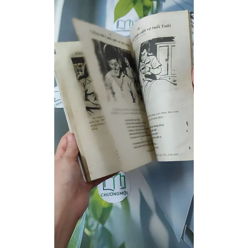 Cao Ly Đầu Hình 928568