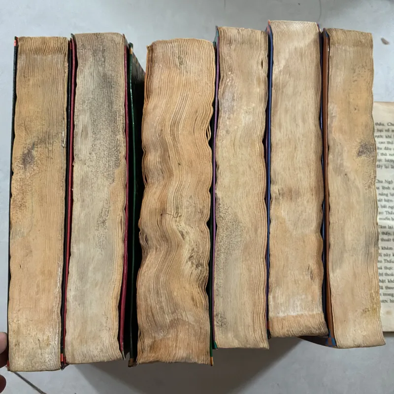 Lời nguyền Lỗ Ban trọn bộ 6 tập 721051