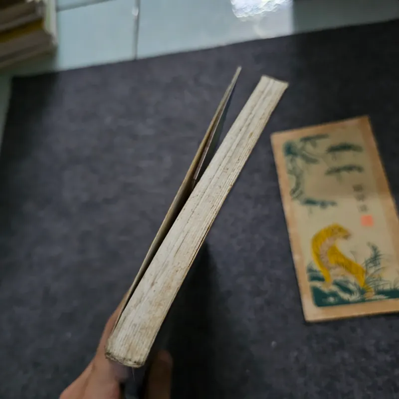 Sinh vào ngày xanh  745495