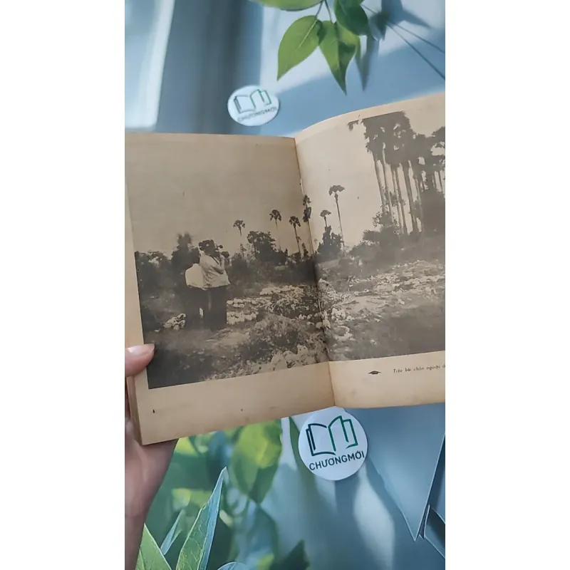 [XƯA] [HIẾM] Xứ Sở Nụ Cười (1984) - Tạ Văn Bảo 997585