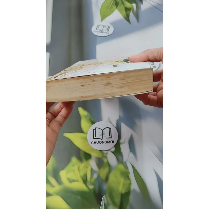 Tôi Như Ánh Dương Rạng Rỡ - Cố Mạn 744697