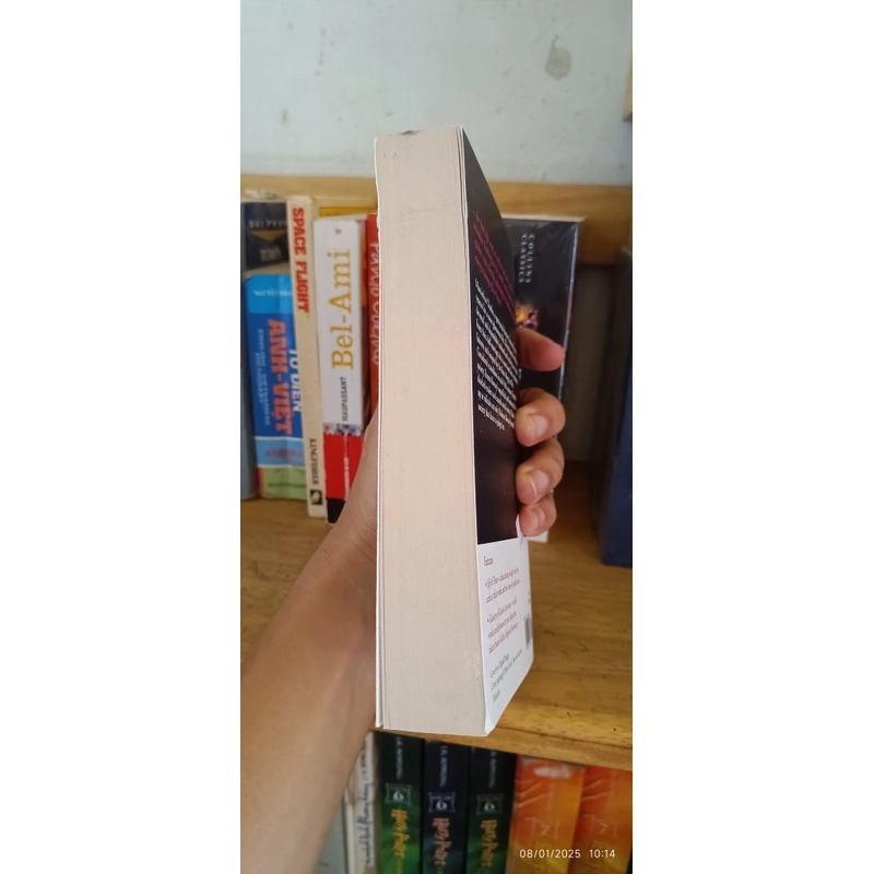 Madame Bovary - Bà Bovary (tiếng Anh) 522899