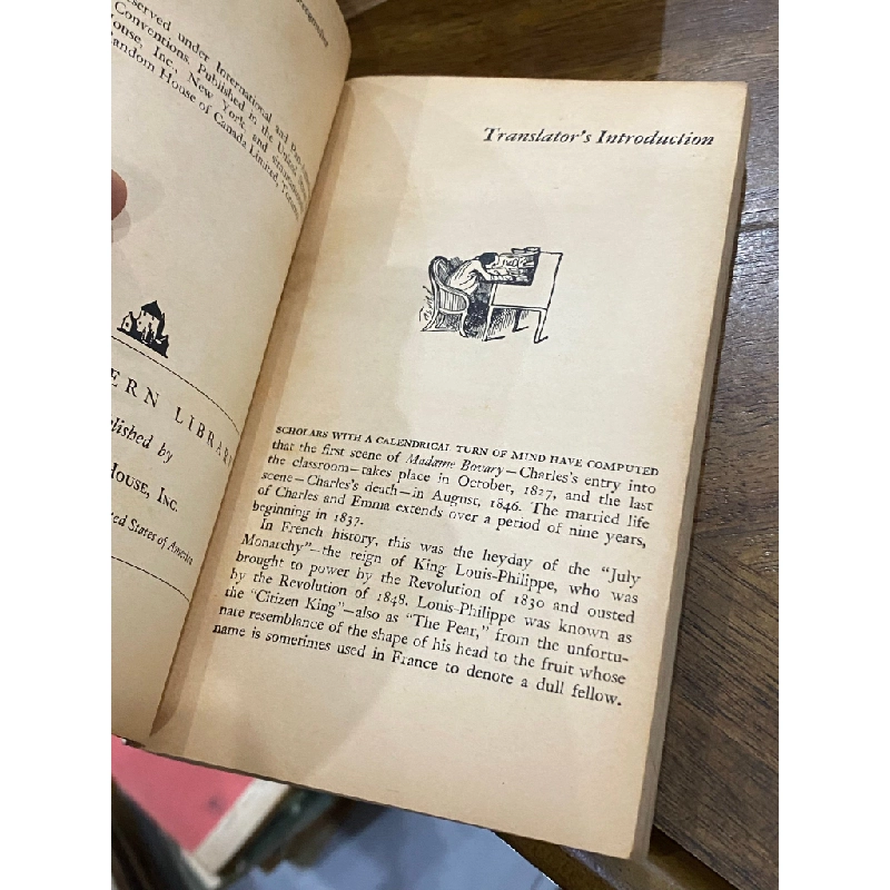 Madame Bovary - Gustave Flaubert 498687