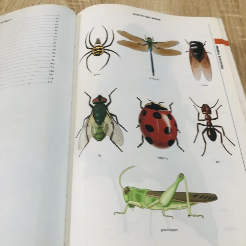 THE MACMILLAN VISUAL DICTIONARY 968636