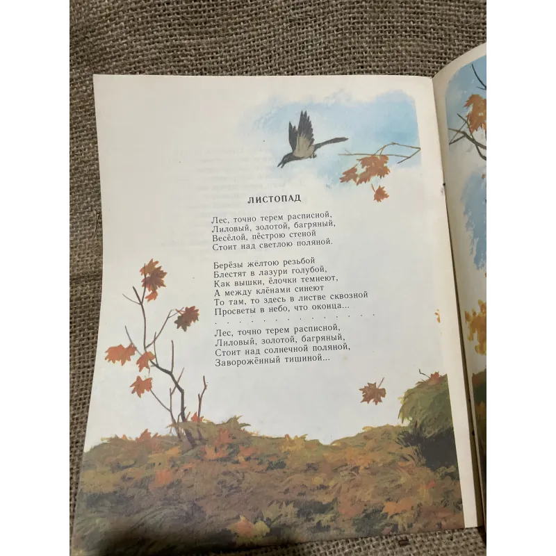 Truyện tranh tiếng Nga- Л.А.БУНИН - ДЕТСТВО 934448