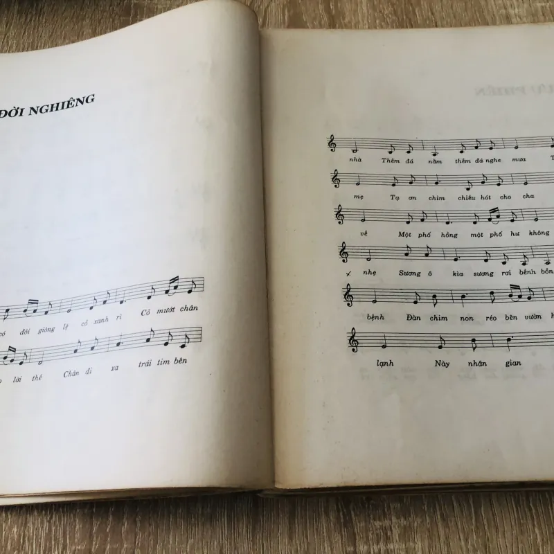 TRỊNH CÔNG SƠN ( Tuyển tập những bài ca không năm tháng ) 1007283