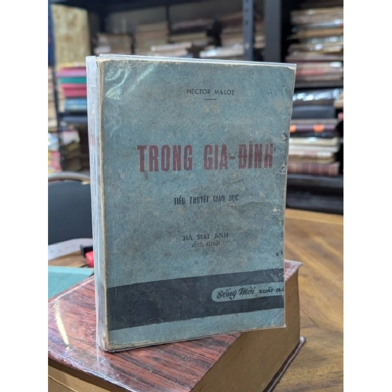 Trong gia đình - Hector Malot ( bản dịch Hà Mai Anh ) 999109