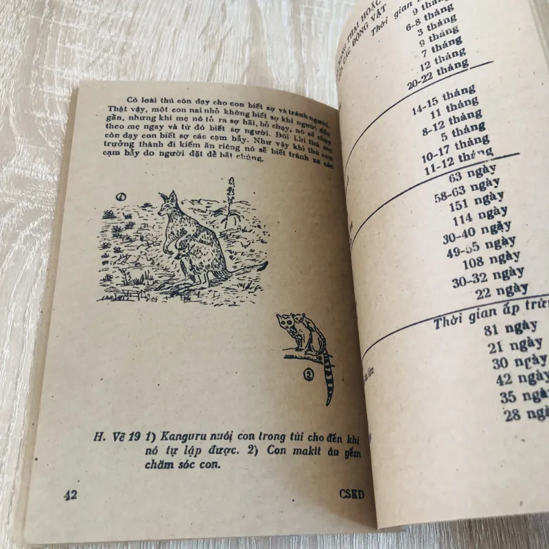 CUỘC SỐNG KỲ DIỆU  928975