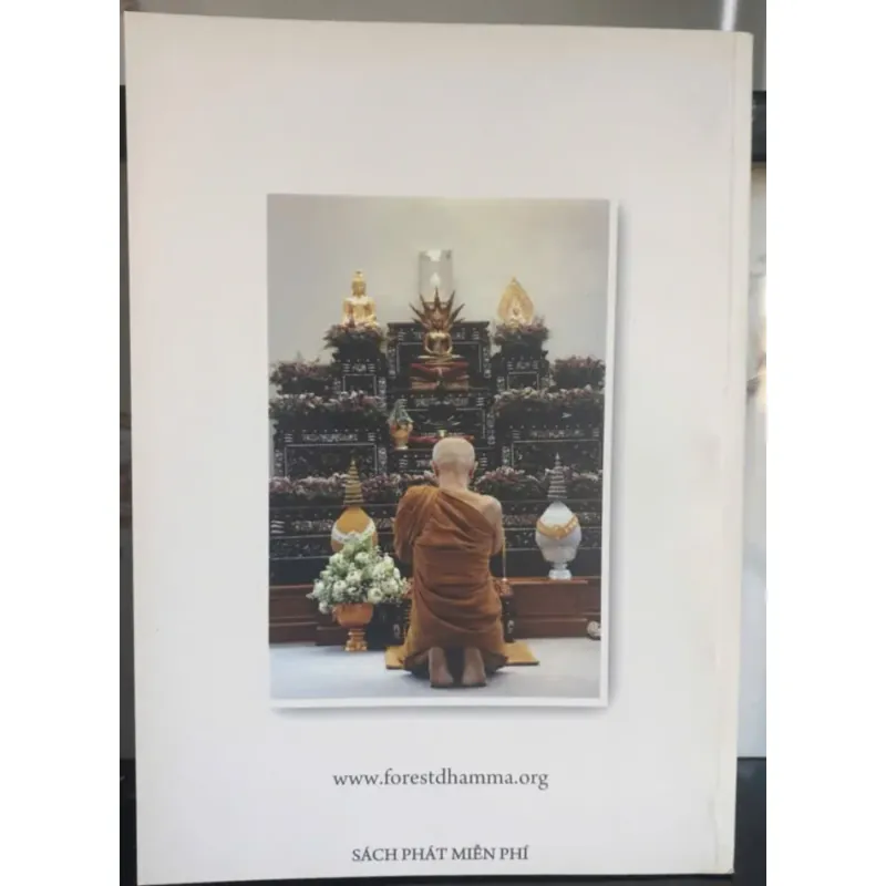 Tuệ Phát Triển Định 755023