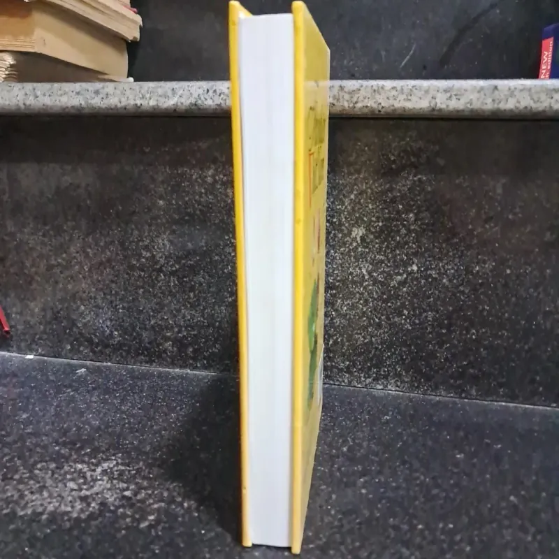 Thi Nhân Việt Nam 1002839