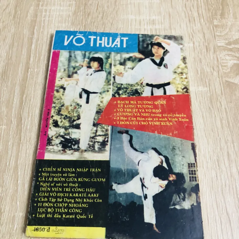 TÌM HIỂU VÕ THUẬT VỊNH XUÂN CÔNG PHU 531158